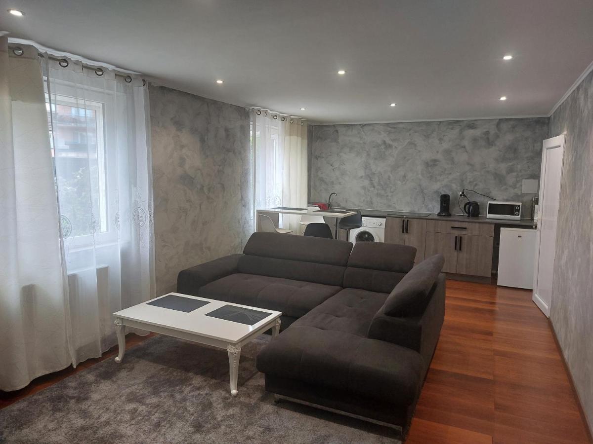 Famille House 101 Apartment Chalon-sur-Saone Luaran gambar
